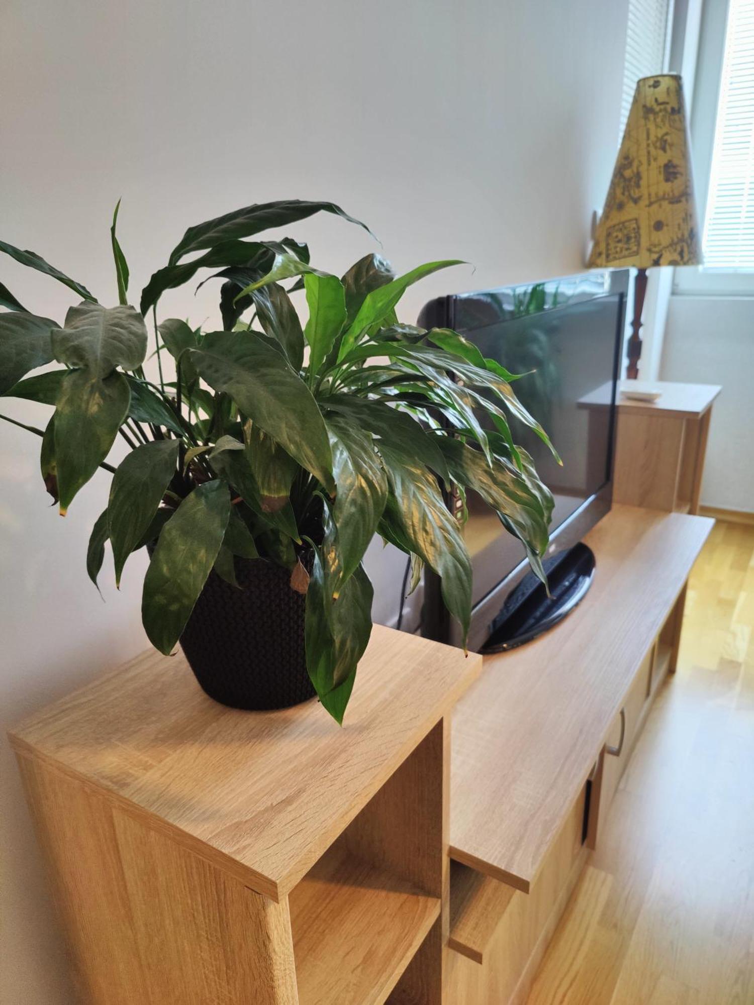 Apartman Aleksic Ni Kültér fotó