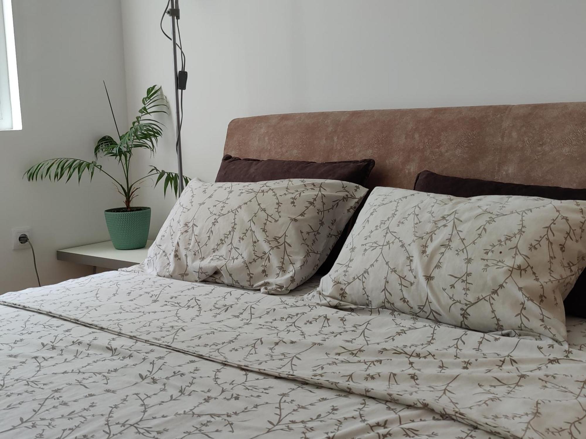 Apartman Aleksic Ni Kültér fotó